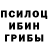 Галлюциногенные грибы Cubensis Y Hanko