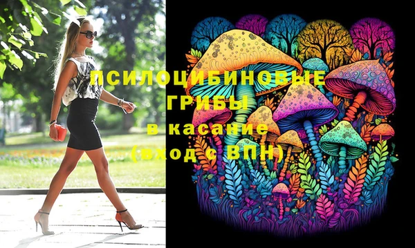 Альфа ПВП Алзамай