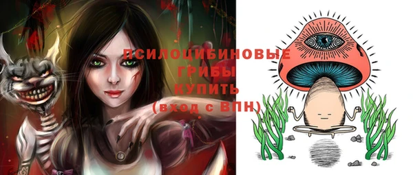 дурь Арсеньев