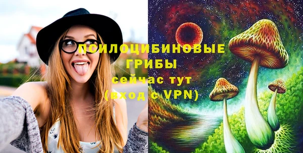 Альфа ПВП Алзамай