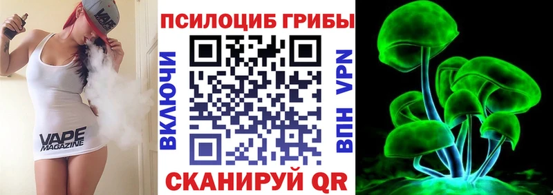 Псилоцибиновые грибы Psilocybine cubensis  Приморск 